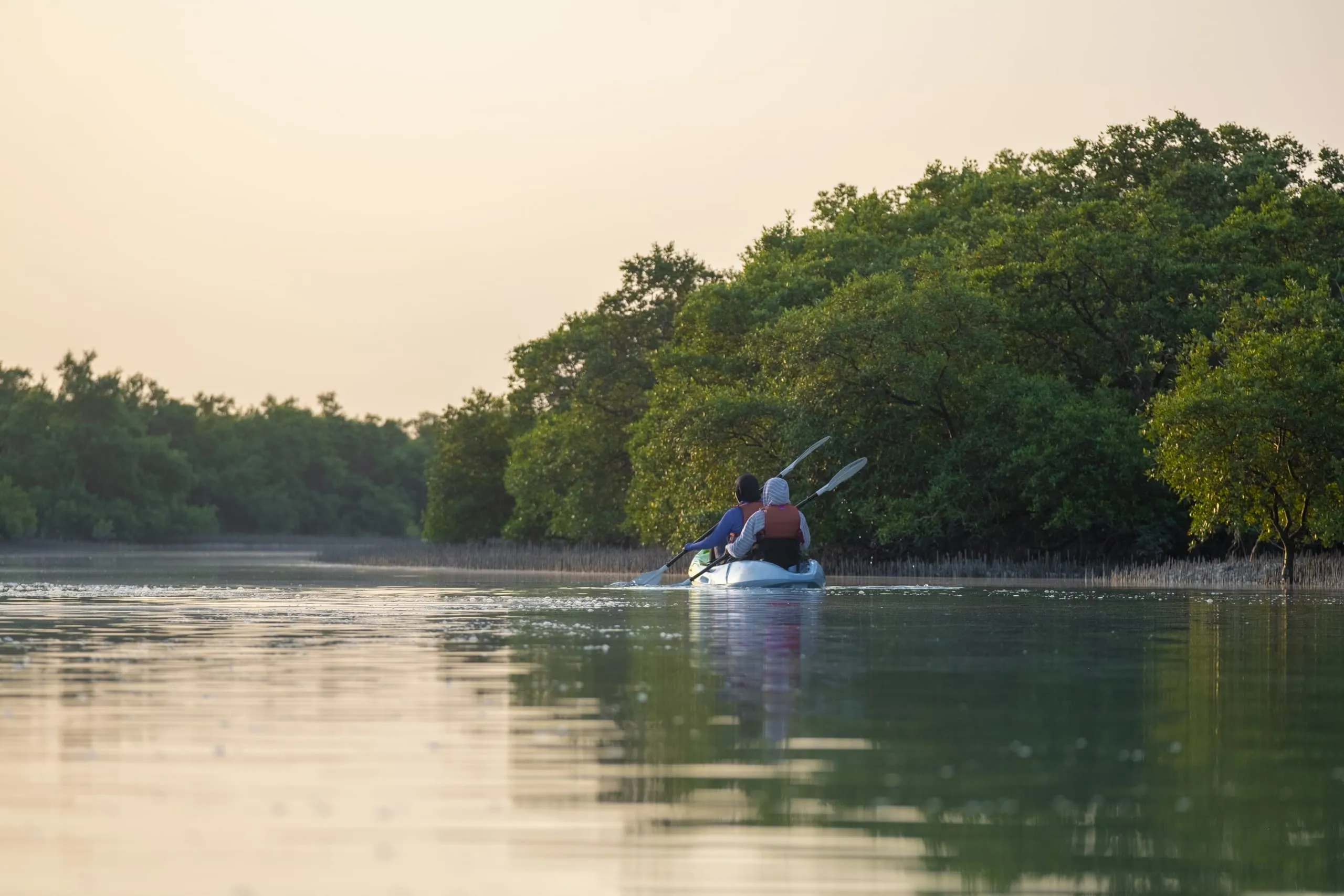 From wild spaces to real-world science, your adventure begins here.