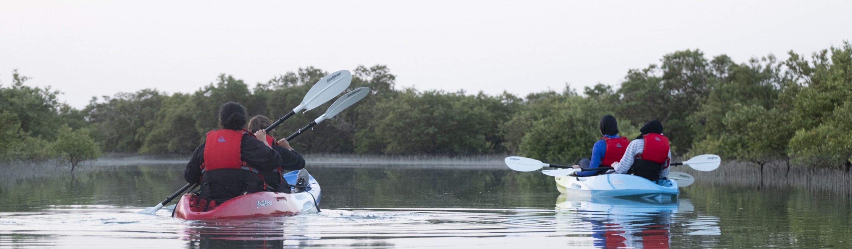 eastern mangroves husaak kayaking